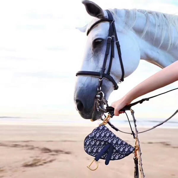 新作 日本即発 DIOR スーパーコピー ブルー キャンバス SADDLE ミニバッグ 9091602