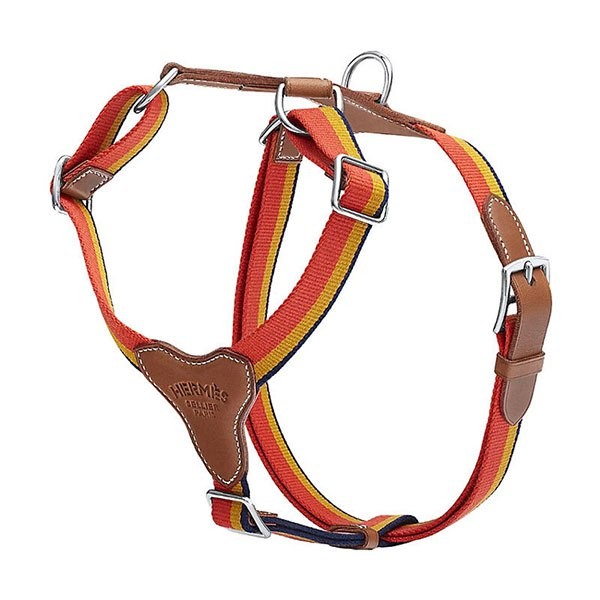 ⭐️エルメス⭐️首輪⭐️犬用品⭐️ロカバール⭐️XSサイズ - e