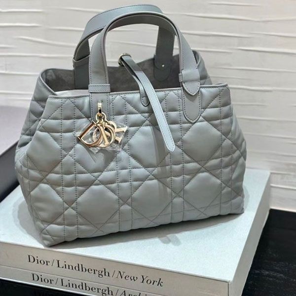 ディオール TOUJOURS バッグ コピー ミディアム＊5色 M2821OSHJ